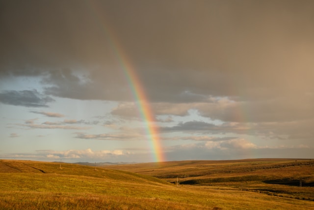 Glimmers, green shoots and breakthroughs in burnout&nbsp;recovery